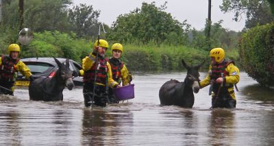 Animal owners urged to prepare for flooding